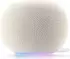 Google Home Speaker