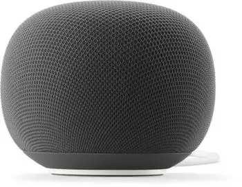 Google Home Speaker Green
