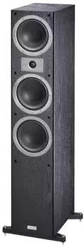 Magnat Tempus 77 schwarz
