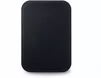 Bluesound Pulse Flex 2i All-in-One HD Musik-Player (schwarz)
