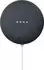 Google Nest Mini