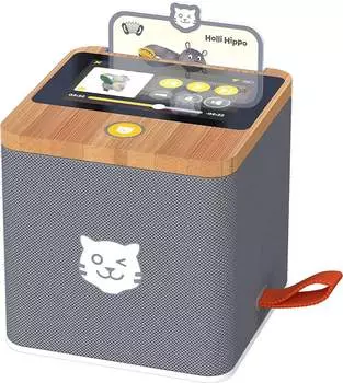 Tiger Media tigerbox Touch grau