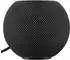 Apple HomePod mini schwarz