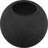 Apple HomePod mini schwarz