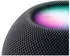 Apple HomePod mini schwarz