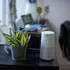 Bose SoundLink Revolve II silber
