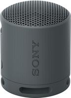 Sony SRS-XB100 Black