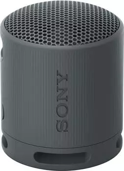 Sony SRS-XB100 Black