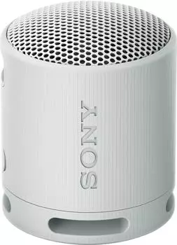 Sony SRS-XB100 Light Gray