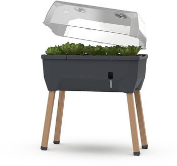 Gusta Garden SAMMY SALAD anthrazit (101A10)