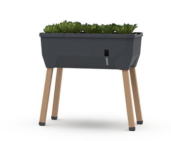 Gusta Garden SAMMY SALAD anthrazit (101A20)
