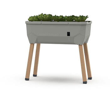 Gusta Garden SAMMY SALAD hellgrau (100A20)