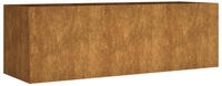 vidaXL Hochbeet 120x40x40 cm Cortenstahl