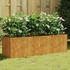 vidaXL Hochbeet Cortenstahl 120 x 40 x 40 cm (824520)