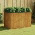 vidaXL Hochbeet Cortenstahl 120 x 80 x 80 cm (824538)