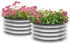 Outsunny Hochbeet Metall 60 x 60 x 30 cm silber 2 Stk. (845-979V00SR)