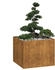 vidaXL Pflanzkübel Rostig 100x100x80 cm Wetterfester Stahl (860828)