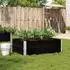vidaXL Pflanzkasten Schwarz 120x80 cm Massivholz Kiefer (3295848)