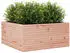 vidaXL Pflanzkübel 100x100x46 cm Massivholz Douglasie (3282432)
