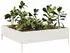 vidaXL Hochbeet Weiß 100x100x33,5 cm Stahl (851025)