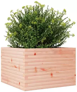 vidaXL Pflanzk&uuml;bel 70x70x46 cm Massivholz Douglasie (3282417)