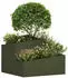 vidaXL Garten-Pflanzgefäß Olive Grün 60 x 60 x 50 cm (873574)