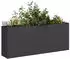 vidaXL Pflanzkübel Schwarz 200x40x80 cm Kaltgewalzter Stahl (860724)