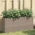vidaXL Hochbeet mit 2 Fächern Grau 90x20x40 cm Poly Rattan (366409)