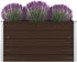vidaXL Hochbeet Verzinkter Stahl 100x100x45cm