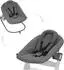 Hauck Alpha Bouncer Premium dark grey