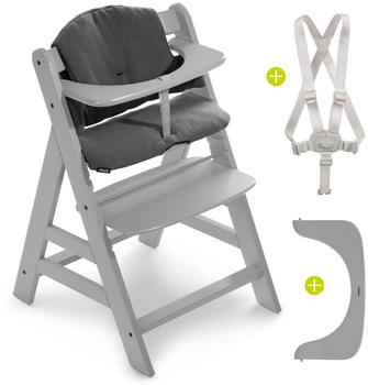 Hauck Alpha+ Sparset (2-tlg.) grey/jersey charcoal