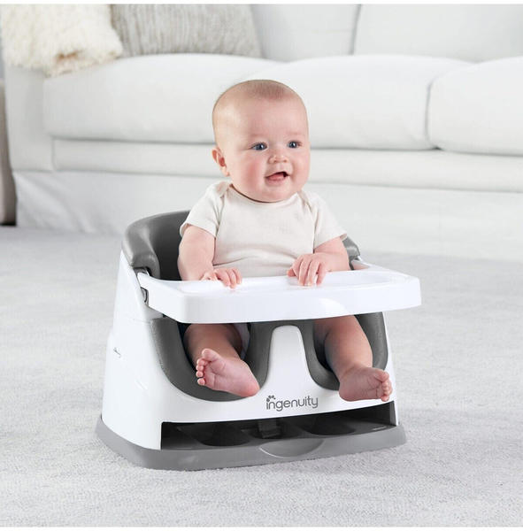 Ingenuity Baby Base 2-in-1™ Seat - Slate (11576)