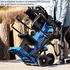 Scheppach Compact 12T 400V