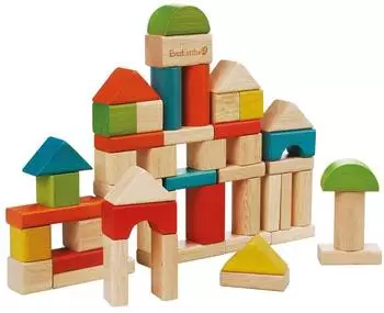 EverEarth Bausteine 50 Stück (EE32569)