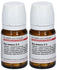 DHU Nux Vomica D 6 Tabletten