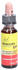 Nelsons GmbH Bachblüten Original Rescura Kids Tropfen Erdbeer (10ml)