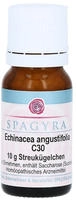Echinacea Angustifolia C 30 Globuli 10 g