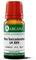 RHUS Toxicodendron LM 24 Dilution 10 ml
