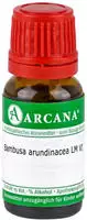 Bambusa Arundinacea LM 6 Dilution 10 ml