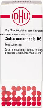 DHU Cistus Canadensis D 6 Globuli (10 g)