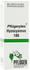 A. Pflüger Pflügerplex Hyoscyamus 186 Tropfen (50 ml)