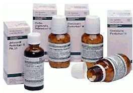 DHU Caulophyllum Pentarkan Tabletten (200 Stk.)