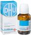 DHU Schüßler-Salz Nr. 2 Calcium Phosphoricum D12 Tabletten (80 Stk.)