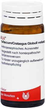 Wala-Heilmittel VIscum Crataegus Globuli (20 g)