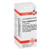 PZN-DE 07596697, DHU-Arzneimittel PIPER METHYSTICUM D 30 Globuli 10 g,...