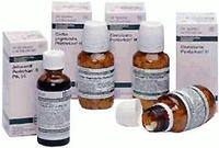 Cinnabaris D 6 Tabletten 80 St