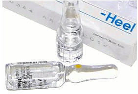 Heel Nux Vomica Homaccord Ampullen (100 Stk.)