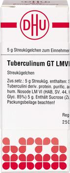 DHU Lm Tuberculinum Gt VI Globuli (5 g)