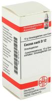 PZN-DE 04213141, DHU-Arzneimittel Coccus Cacti D 12 Globuli, 10 g, Grundpreis: &euro;