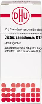 DHU Cistus Canadensis D 12 Globuli (10 g)
